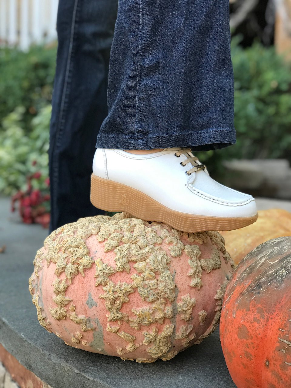 Orange Proportions - Famolare