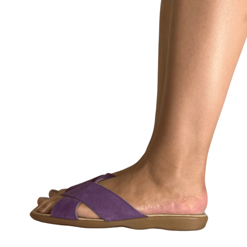 Crossanova - Lavender