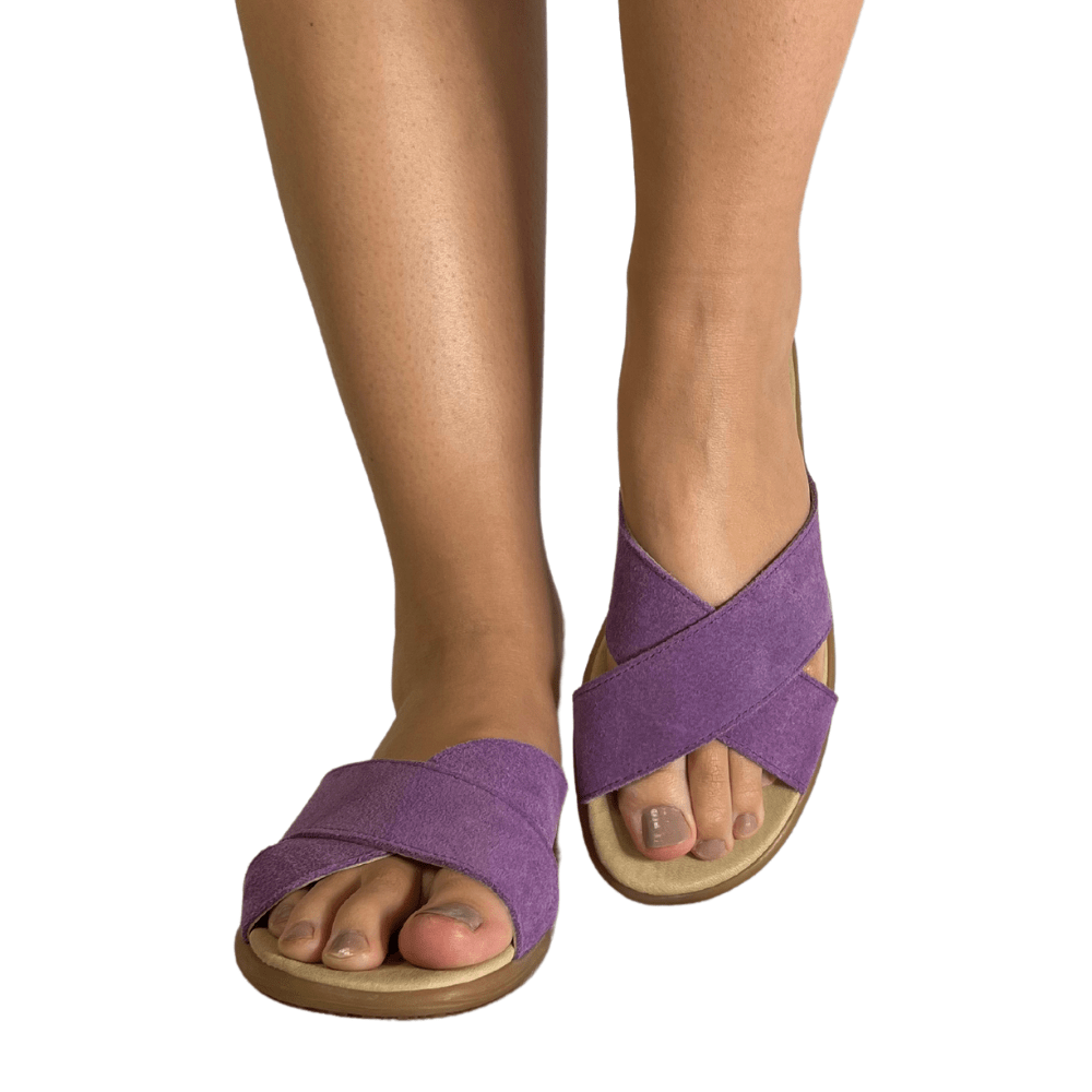 Crossanova - Lavanda