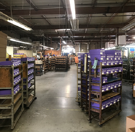 Sustainable Eco friendly brand