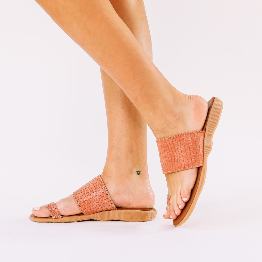 Band and Deliver - salmon