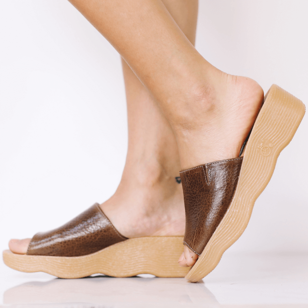 Slide n Seek - earth