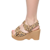 Double Vision - leopard