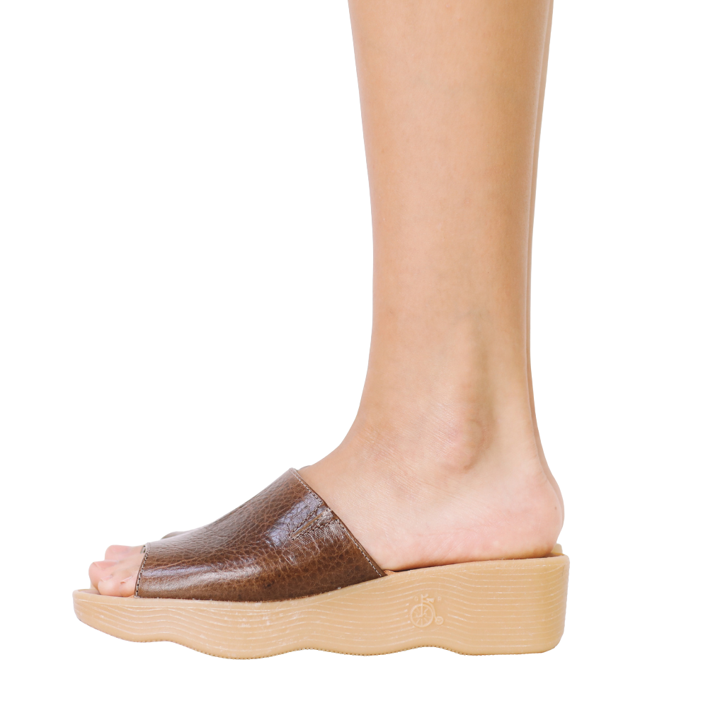 Slide n Seek - earth